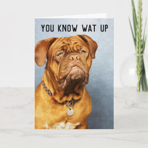 CARTES D'ANNIVERSAIRE MASTIFF CHIEN AMUSANT
