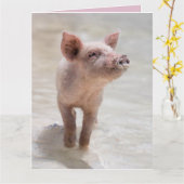 CARTES D'ANNIVERSAIRE PIG HOG FUNNY (Fleur jaune)