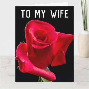 CARTES D'ANNIVERSAIRE ROMANTIQUE ROSE FEMME