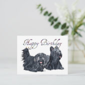 Cartes d'anniversaire Skye Terrier (Debout devant)
