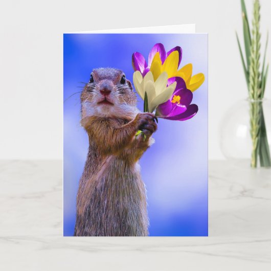 CARTES D'ANNIVERSAIRE SQUIRREL (Devant)