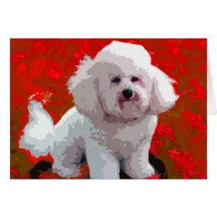 Cartes d'art Bichon Frise Pop