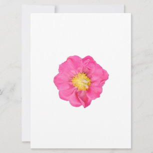 Cartes d'art botanique de la fleur de pivoine rose