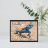 Cartes de bien-être bleu (Debout devant)