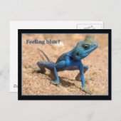 Cartes de bien-être bleu (Devant / Derrière)