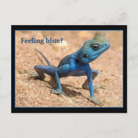 Cartes de bien-être bleu (Devant)