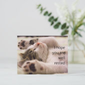 Cartes de bienvenue pour étudiants Sleeping Kitten (Debout devant)