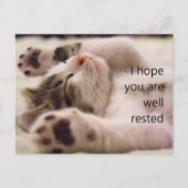 Cartes de bienvenue pour étudiants Sleeping Kitten (Devant)