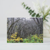 Cartes de bois d'hiver (Debout devant)