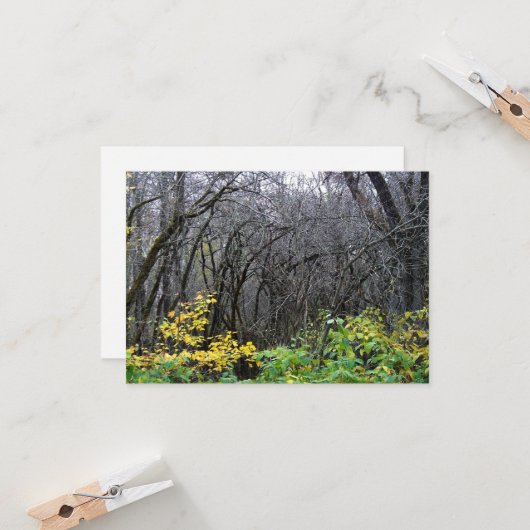 Cartes de bois d'hiver (Devant/Arrière en situation)