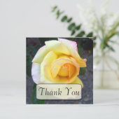 Cartes de bourgeonnement de Merci de rose jaune (Debout devant)