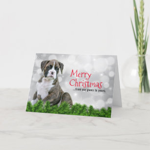Cartes de Chien de Noël Joyeux - Chien de Vacances