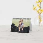 Cartes de chien - j'ai obtenu votre dos (Fleur jaune)