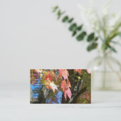 Cartes de chute (Debout devant)