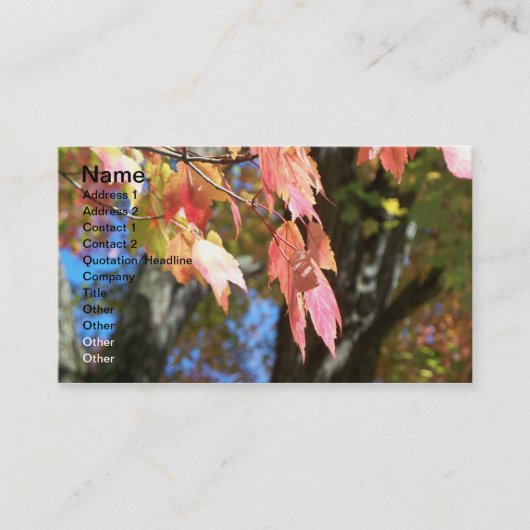 Cartes de chute (Devant)