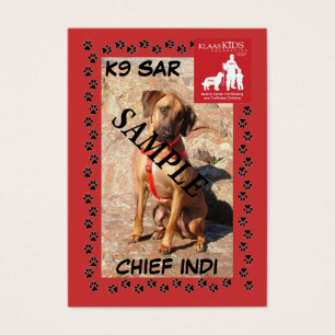 Cartes de collection de SAR K9 (remorquage)