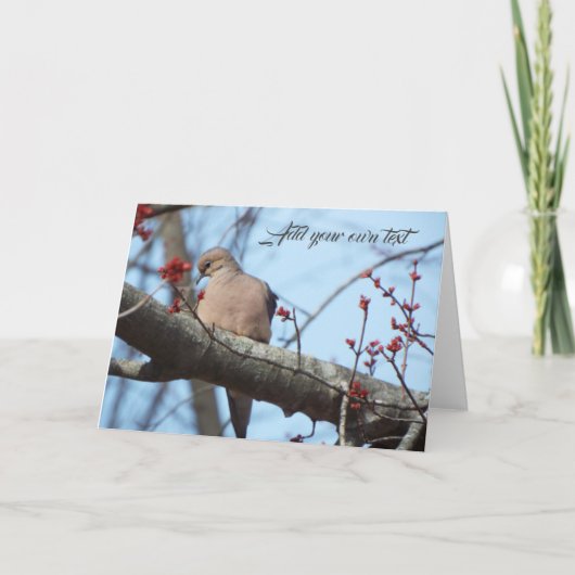cartes de colombe matinale (Devant)