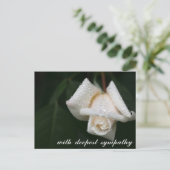 Cartes de condoléances Rose Blanche aux Feuilles V (Debout devant)