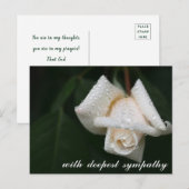 Cartes de condoléances Rose Blanche aux Feuilles V (Devant / Derrière)