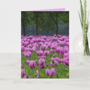CARTES DE CONDOLÉANCES TULIPES VIOLETTES