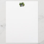 Cartes de conseil CANALS (Devant)