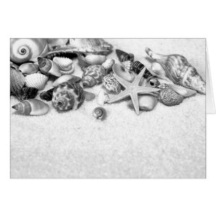 Cartes de coquilles et de poisson-Starfish