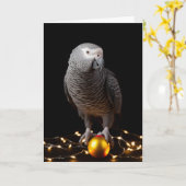 Cartes de fin de année africains de perroquets gri (Fleur jaune)