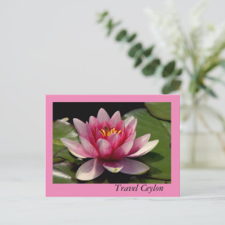 Cartes de fin de année avec de beaux lotus dessus.