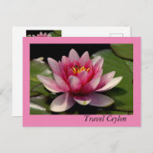 Cartes de fin de année avec de beaux lotus dessus. (Devant / Derrière)