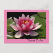 Cartes de fin de année avec de beaux lotus dessus. (Devant)