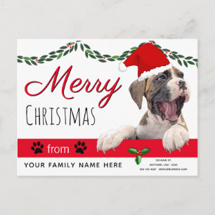 Cartes de fin de année de chiens - Des cartes de N