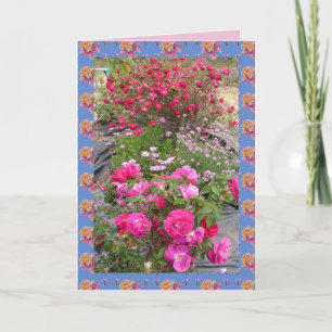 Cartes de fleurs de jardin de roses vintage rouges