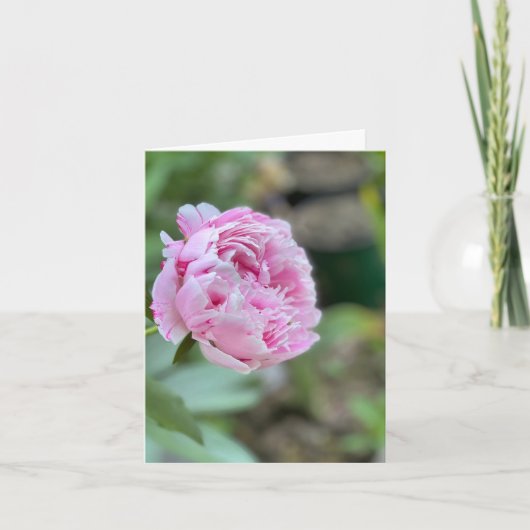 Cartes de fleurs de NYC (Devant)
