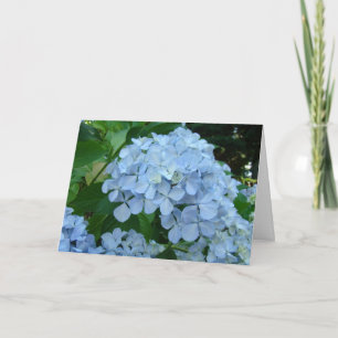 Cartes de fleurs d'hortensia Jardins d'hortensias
