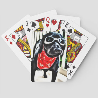 Cartes de jeu avec BlackDogLuke dans les lunettes