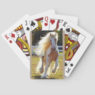 cartes de jeu avec le long cheval maned