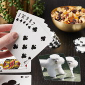 Cartes de jeu blanc de caniche miniature (In Situ)