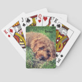 Cartes de jeu Bonesy (dos)