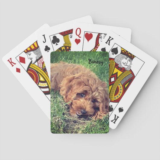 Cartes de jeu Bonesy (dos)