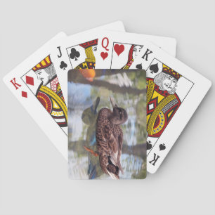 Cartes de jeu Canard & Poisson