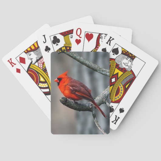 Cartes de jeu cardinales (dos)