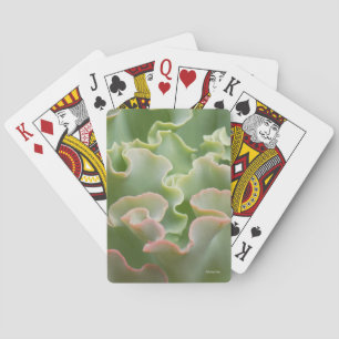 Cartes de Jeu Classique Plante Vert