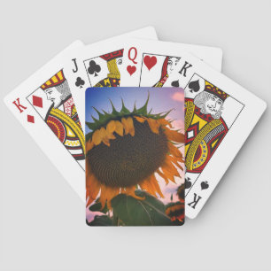 Cartes De Jeu Classique Tournesol