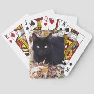 Cartes de jeu classiques de photo d'automne de