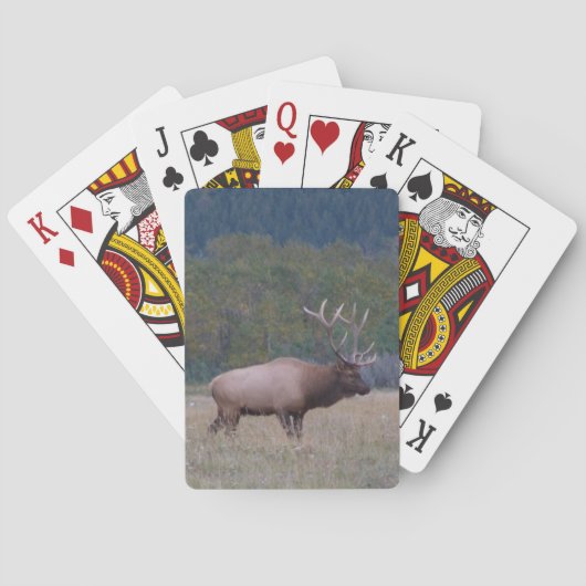 Cartes de jeu classiques de wapitis taureau (dos)