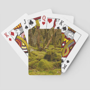Cartes de jeu Dartmoor Woodland