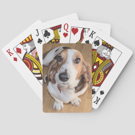 Cartes de jeu de Basset Hound (dos)