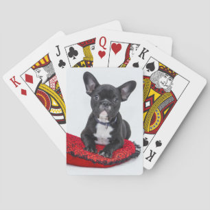 Cartes de jeu de bouledogue français