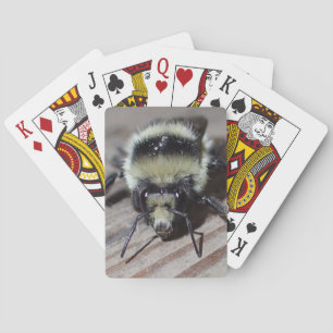 Cartes de jeu de bourdon