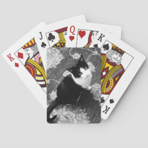 Cartes de jeu de chats